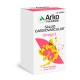 OMEGA 3 ACEITE DE PESCADO ARKOCAPSULAS  50