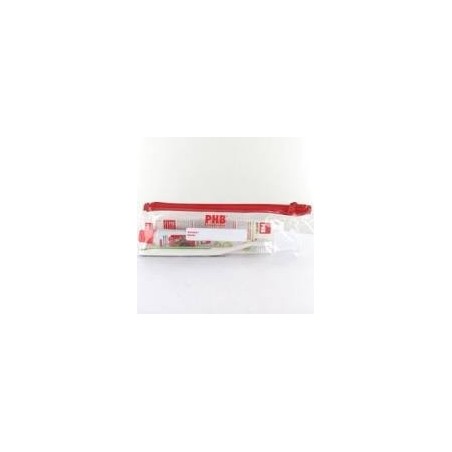 PHB JUNIOR NEC 1 CEPILLO PLUS  1 ENVASE GEL 15 ML LADYBUG
