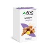 JENGIBRE ARKOCAPSULAS 280 MG 5