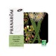 PRANAROM  EUCALIPTO RADIATA ACEITE ESENCIAL 10ML