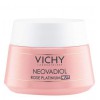 NEOVADIOL ROSE PLATINIUM NUIT VICHY