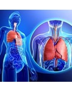 Aparato Respiratorio